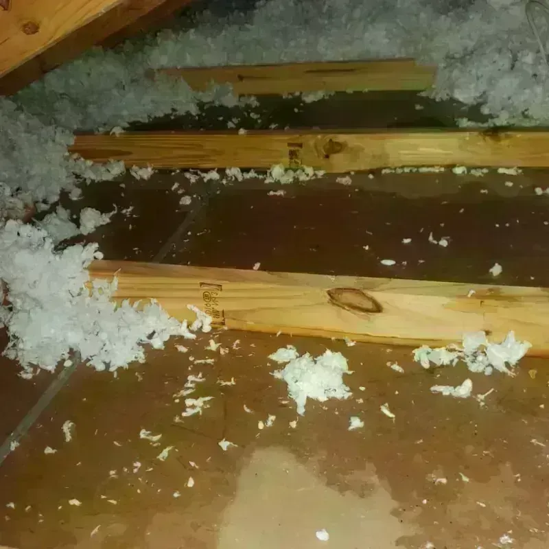 Attic Water Damage in Warrenville, IL