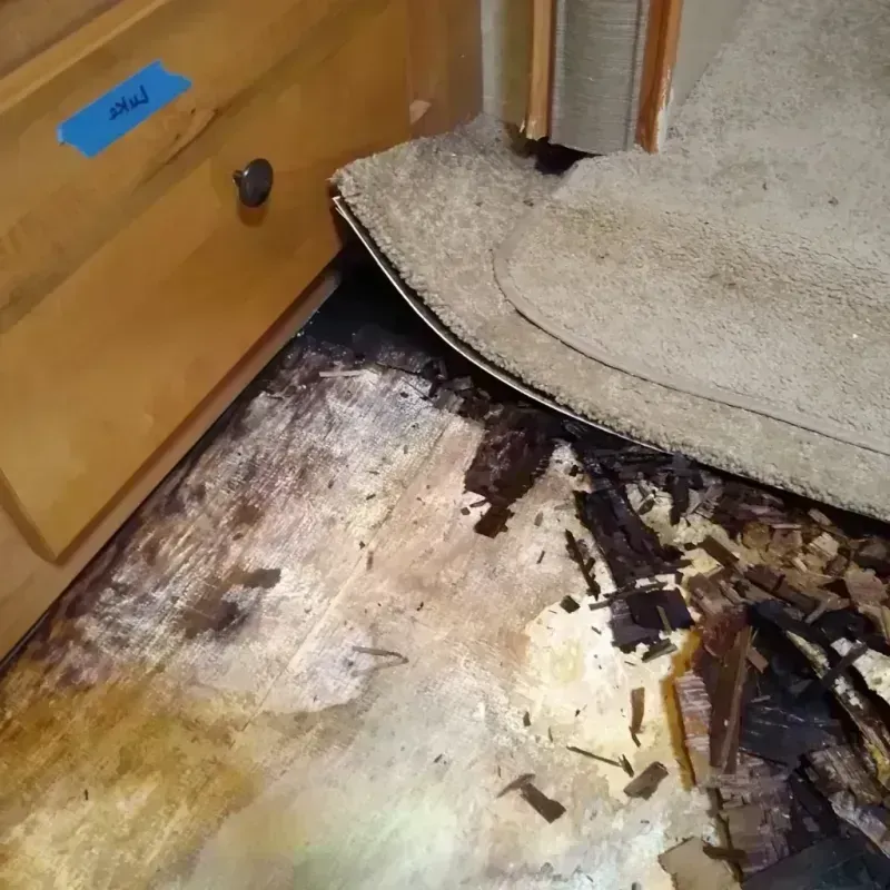 Best Wood Floor Water Damage Service in Warrenville, IL